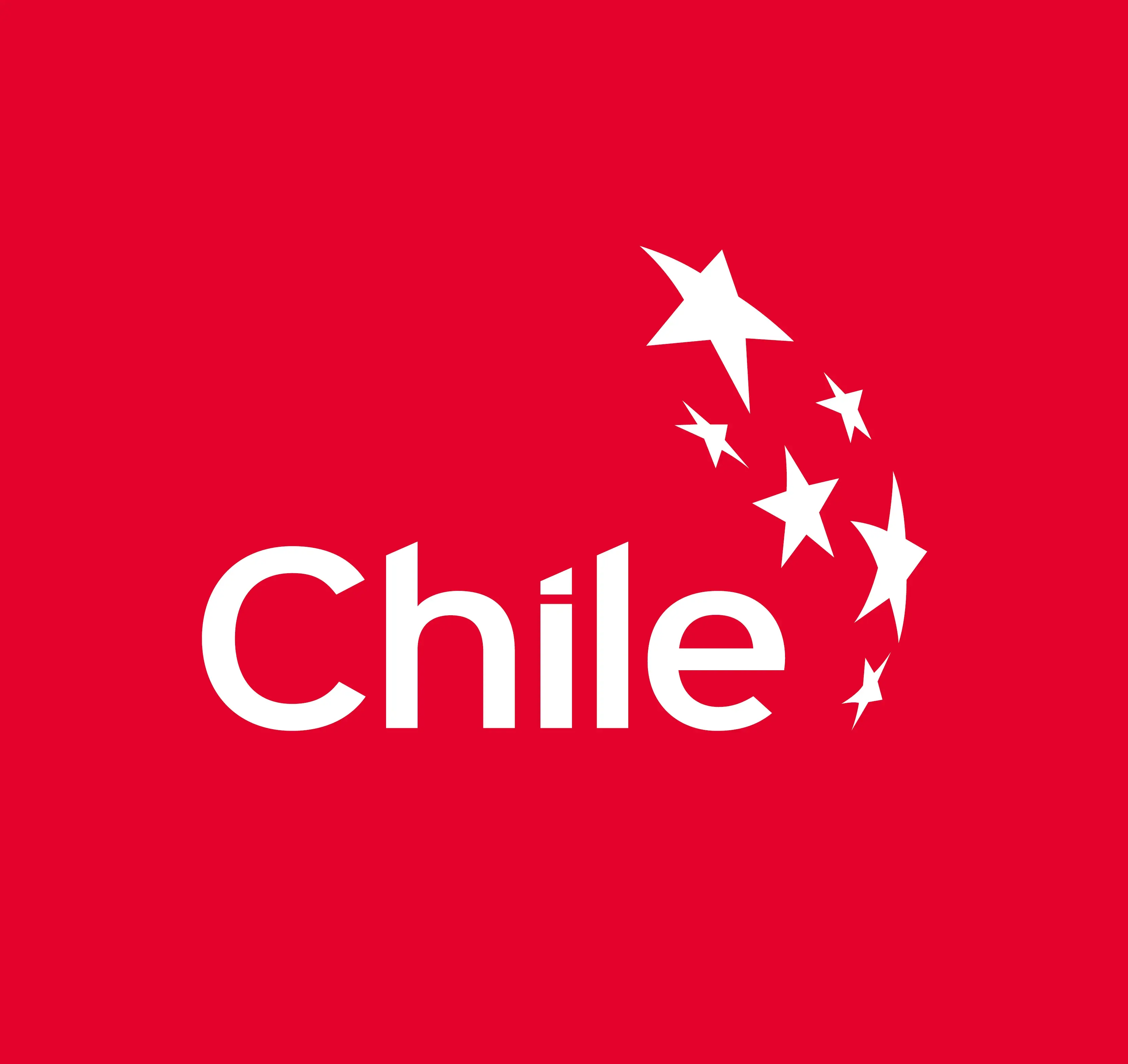 Logo fundación imagen de Chile